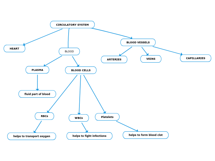 concept map circulatory system critical thinking
